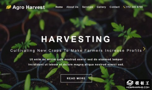 农业收成展示响应式网站模板