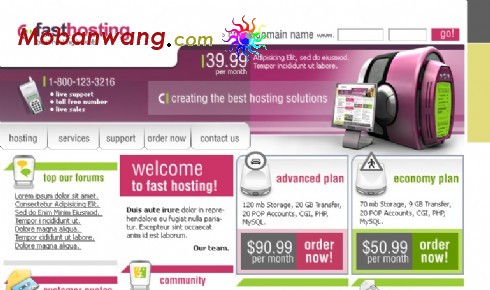 高速主机服务企业网页模板