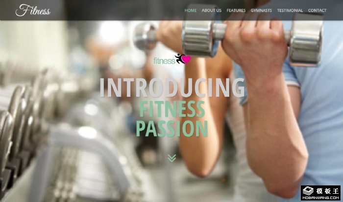 健身训练特色展示网页模板