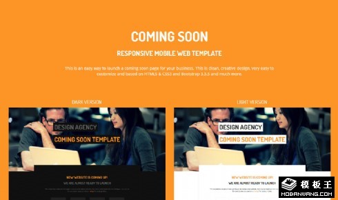 网站风格分屏选择响应式网页模板