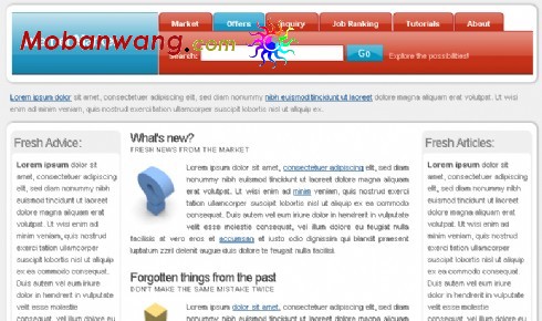 网络市场分析网站模板