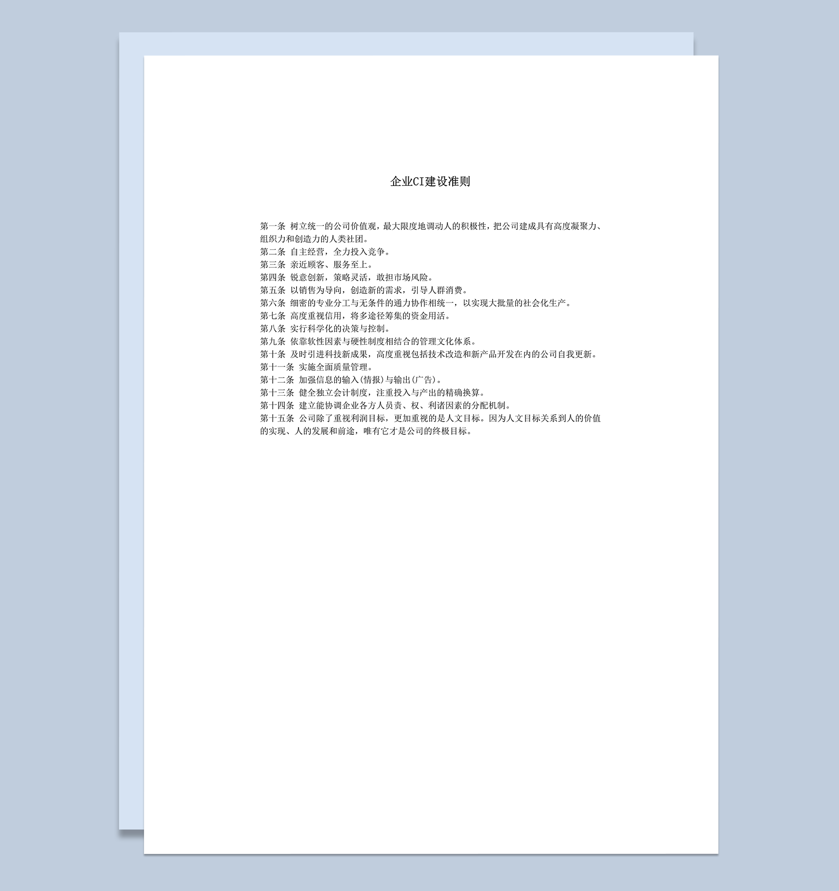 企业CI建设准则word模板