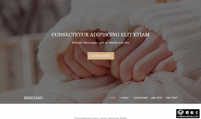 创意文化展示图集网页模板