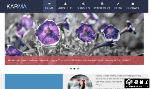 扁平产品数据信息响应式网页模板