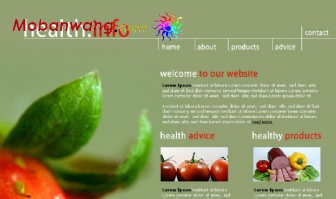 水果健康专业网站模板