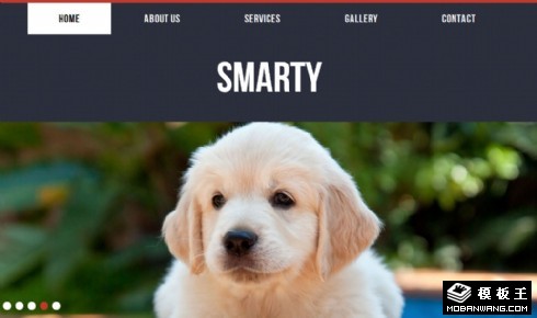 聪明宠物美容服务网页模板