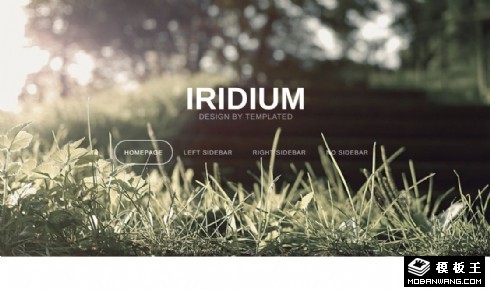 休闲时光日志展示响应式网页模板