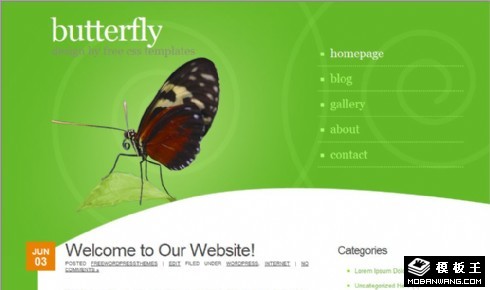 绿之蝶个性信息网页模板