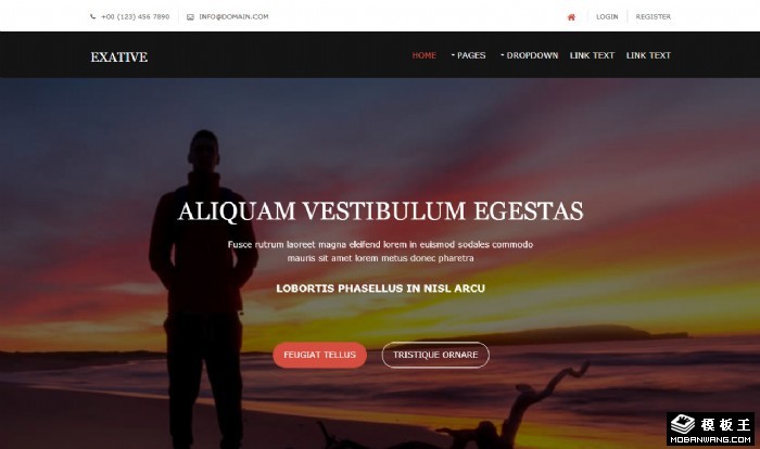 视角传媒服务网页模板