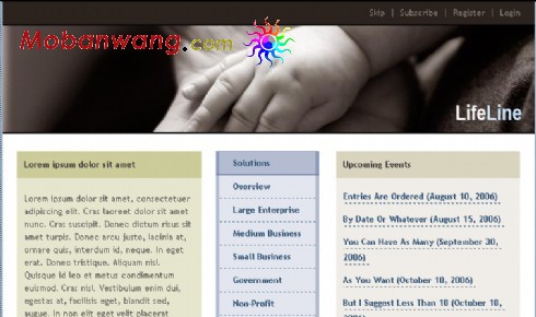 生命线主题网页模板
