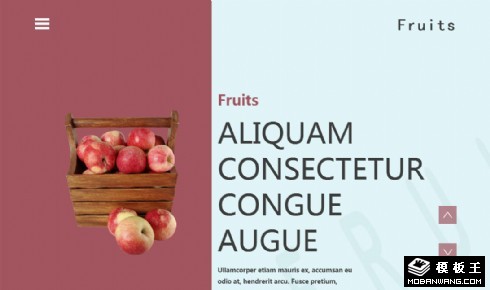 新鲜水果介绍响应式网页模板