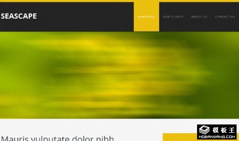 绿景信息动态网页模板