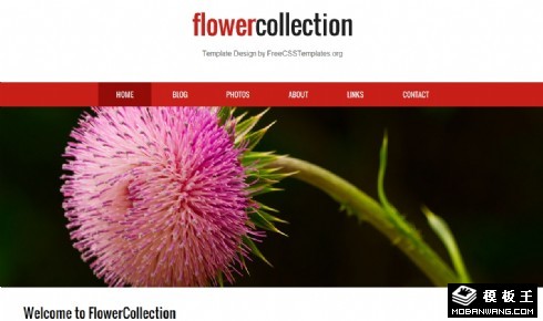 花集中心介绍网页模板