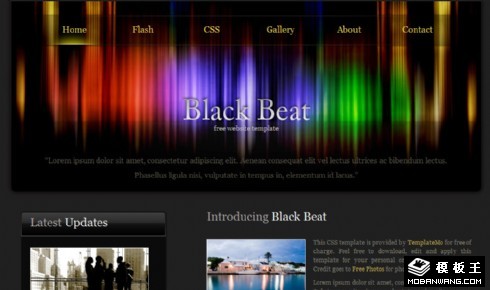 彩色节奏信息网页模板