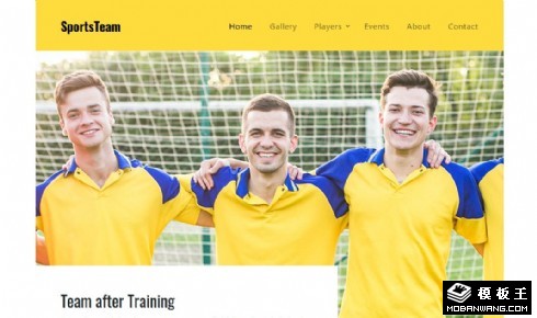 体育联盟动态响应式网站模板