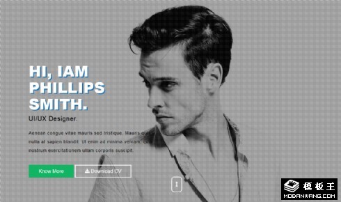 设计师动态展示响应式网页模板