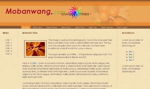 桔红色糖果网页模板