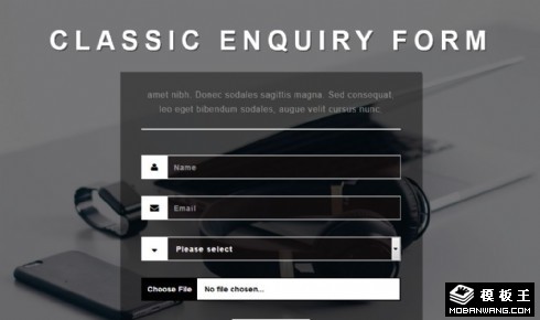 灰色查询表单响应式网页模板