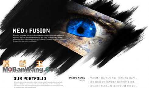 韩国鹰眼工作室模板