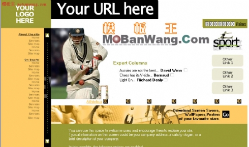 欧美专业运动网站模板