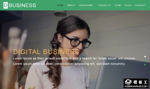 商业项目服务动态响应式网页模板