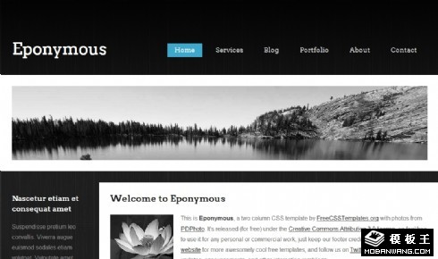 黑白语境信息网页模板