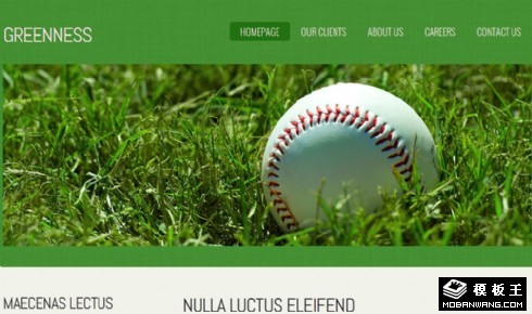 鲜绿简洁信息网页模板