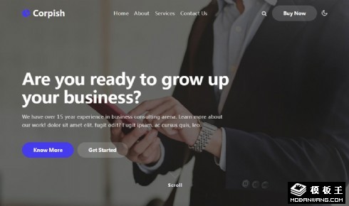 企业专业服务展示响应式网页模板