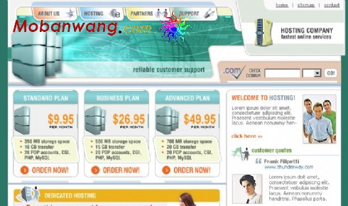 虚拟主机网络服务网页模板