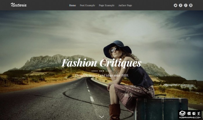 时尚休闲日志网页模板