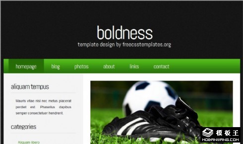 魄力-绿荫运动信息网页模板