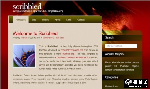 零碎暗红记忆网页模板