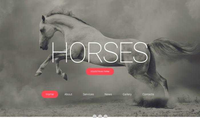 马术体验展示网站模板