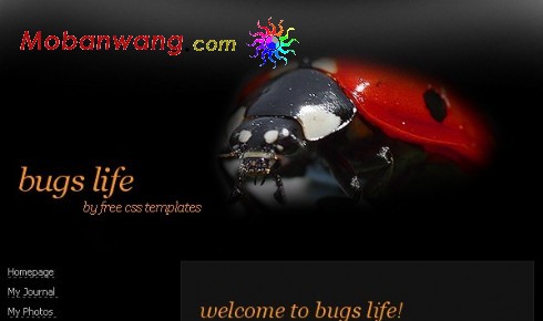 甲壳虫黑色网页模板