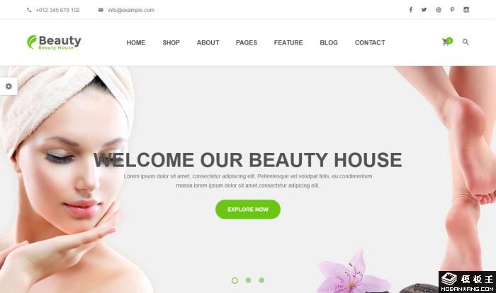 美容与健康网站模板