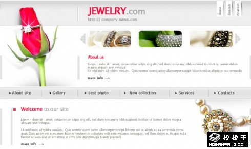 自然与珠宝企业网站模板
