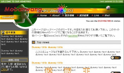 棒球体育运动网页模板