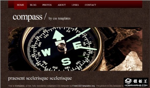 指南针考古信息网页模板