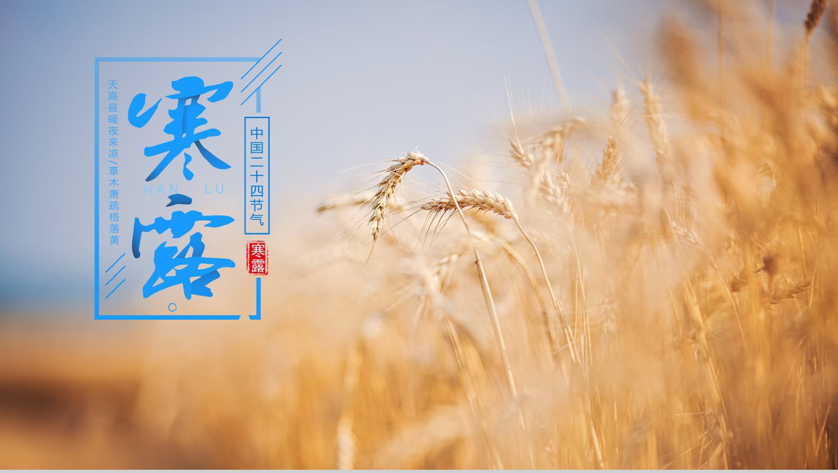 白色简约传统二十四节气寒露主题汇报PPT模板