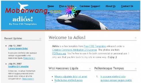 蓝色海豚企业网页模板