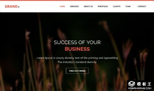 成功商业服务展示响应式网页模板