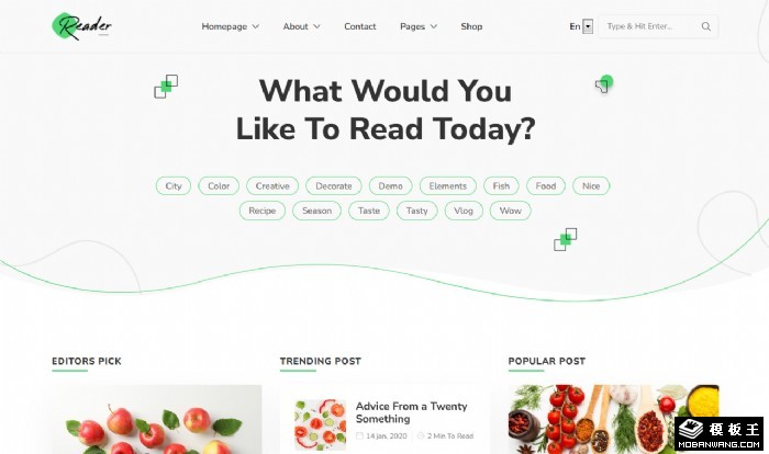 阅读互动日志社区网站模板