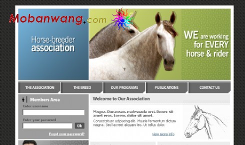 驯马场网页模板