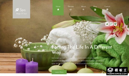 SPA水疗美容响应式网页模板