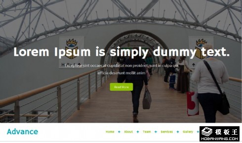 专业企业服务展示响应式网页模板