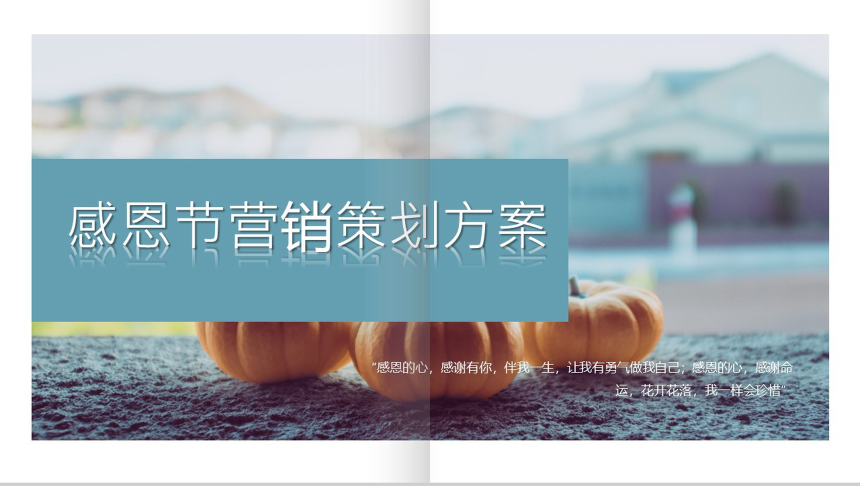 清新简约感恩节营销活动策划方案汇报PPT模板