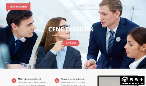 咨询管理团队响应式网页模板