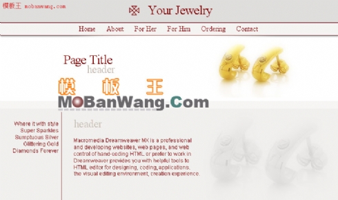 欧美珠宝首饰B2C网站模板