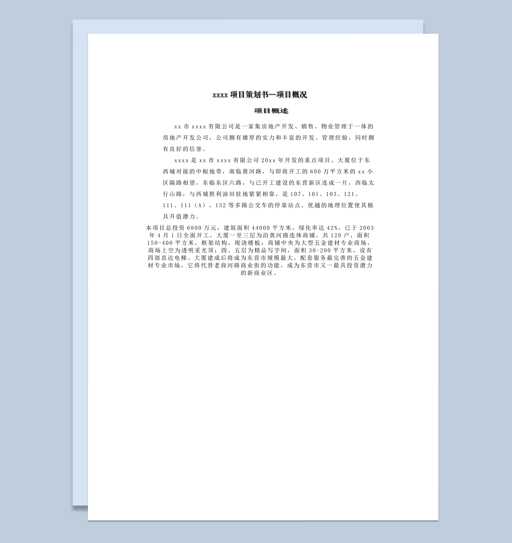 xxxx项目策划书项目概况计划明细表word模板