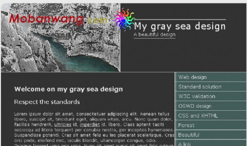 灰色海洋主题网站模板